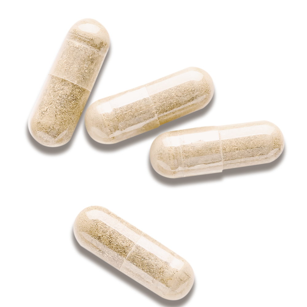 【お試し20粒】NMN ATHLETE “MEMORY” SUPPLEMENT